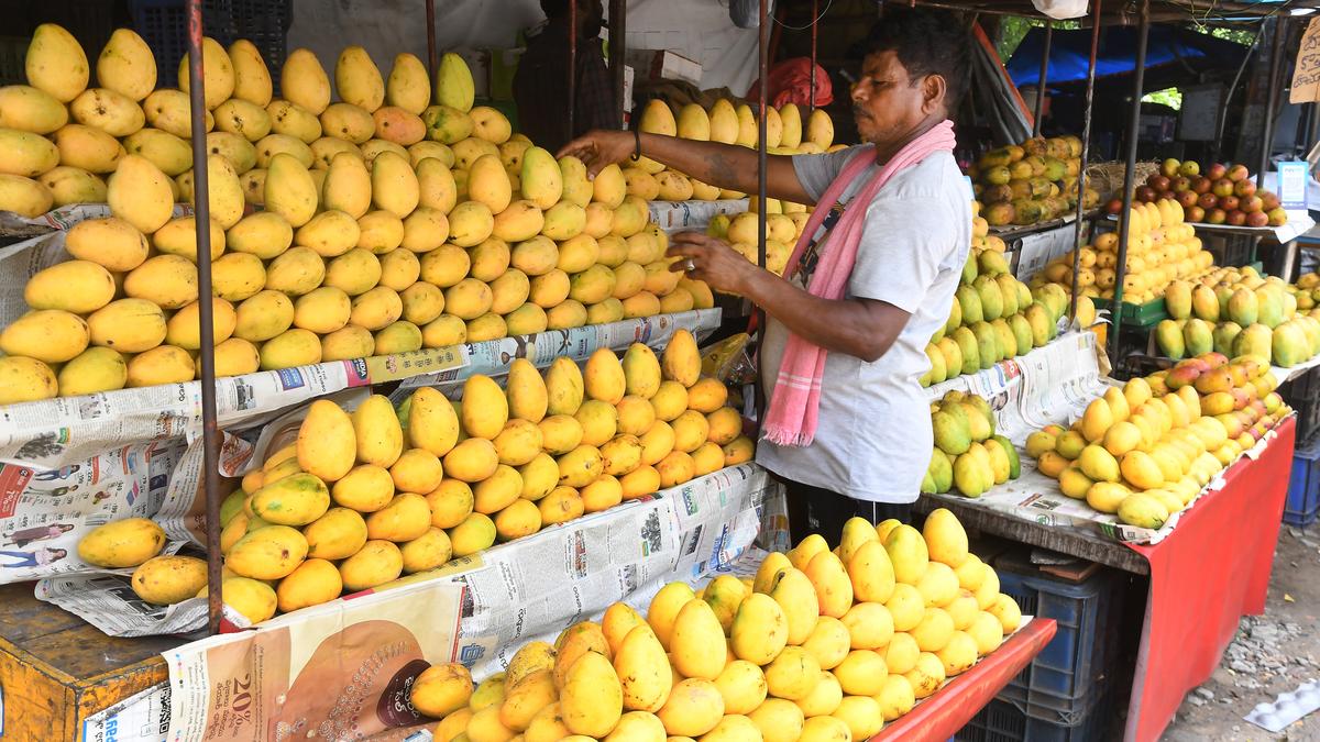 Visakhapatnam Mango prices fall due to low quality and reduced exports